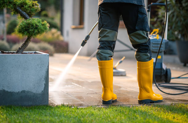 Best House Pressure Washing  in Genoa, AR